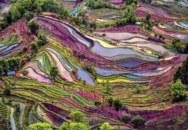Vẻ đẹp của ruộng bậc thang Nguyên Dương ở Vân Nam,Trung Quốc